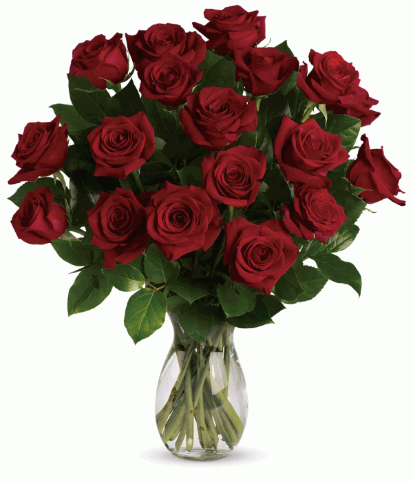 DF 38 - 18 Red roses in a vase 